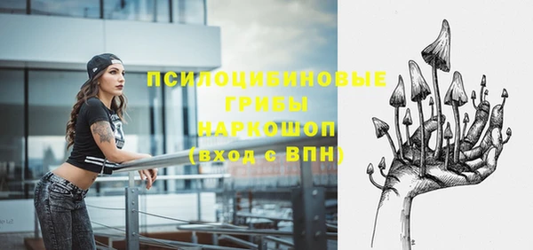СК Кулебаки